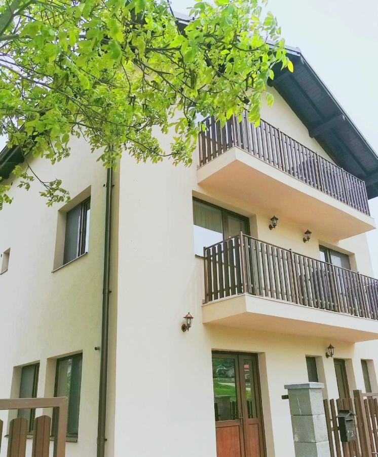 Pensiunea Albina Sinnicoara Exterior foto