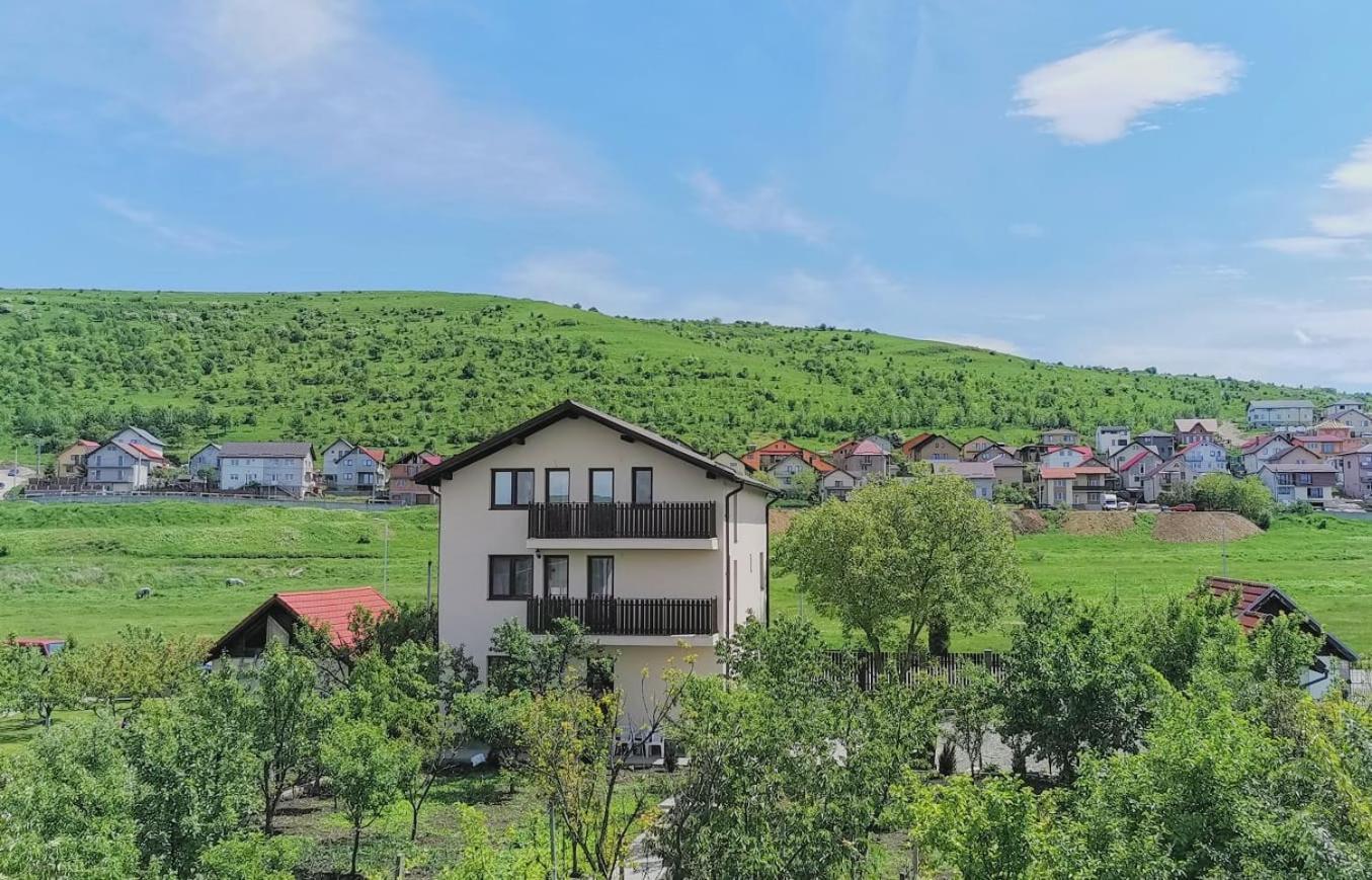 Pensiunea Albina Sinnicoara Exterior foto