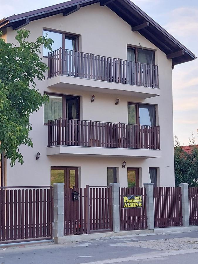Pensiunea Albina Sinnicoara Exterior foto