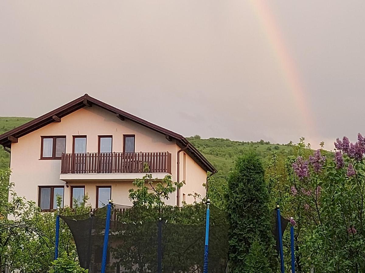 Pensiunea Albina Sinnicoara Exterior foto