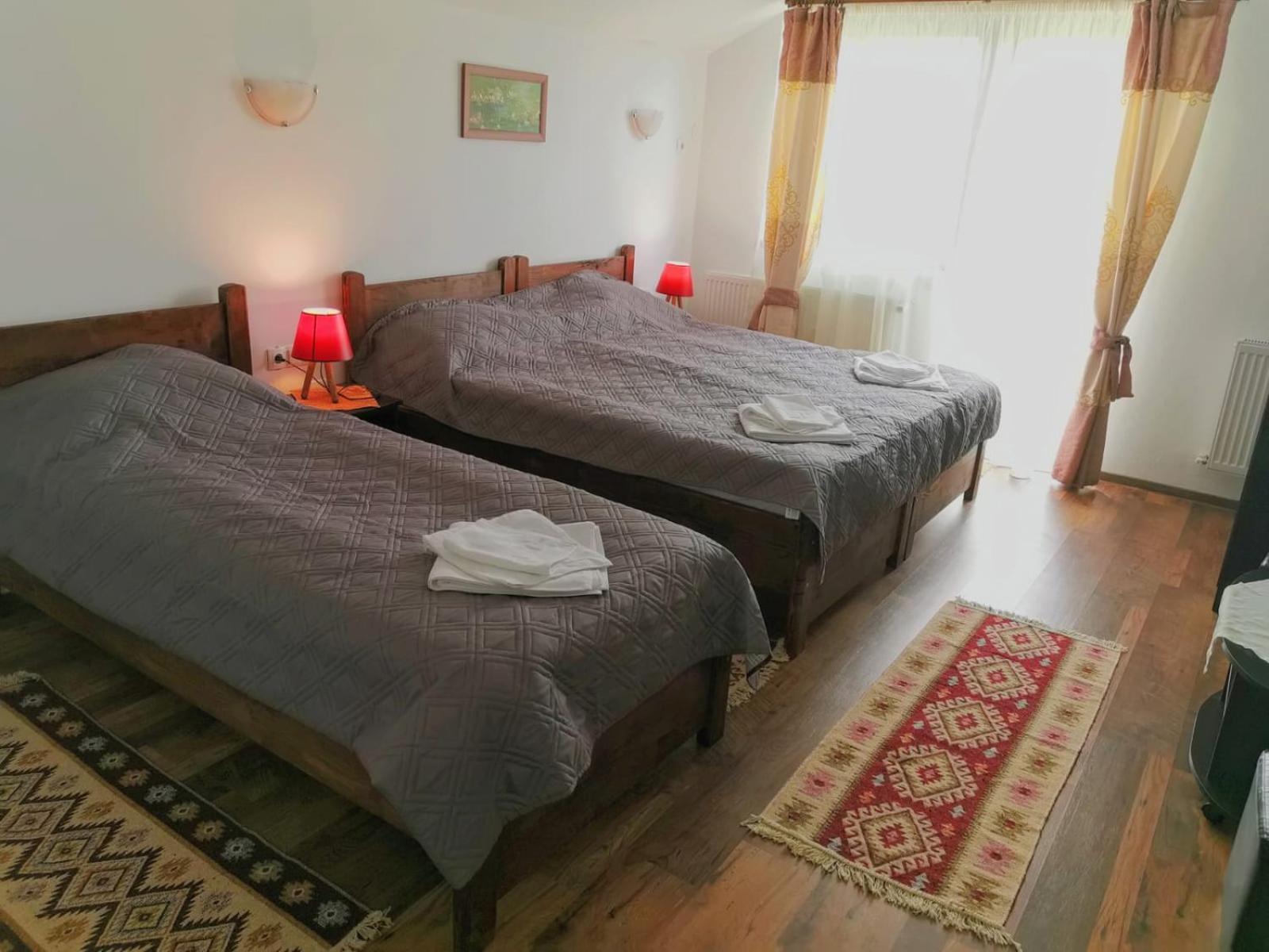 Pensiunea Albina Sinnicoara Quarto foto